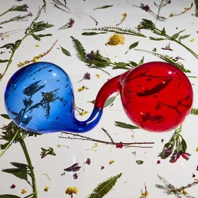 Lamp Lit Prose - Dirty Projectors CD