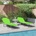 vidaXL Сгъваем шезлонг 2 pcs Зелен 188 x 57 x 86, 5 см Полиестер (42003150)
