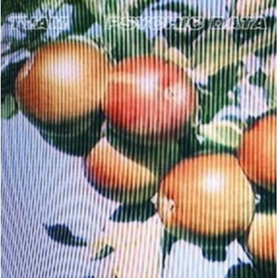 Psychic Data - TVAM CD
