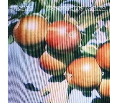 Psychic Data - TVAM CD