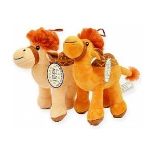 SUN-DAY Camel