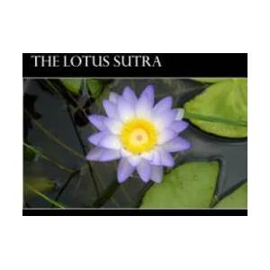 The Lotus Sutra | Gautama Buddha, Alex Struik, Hendrik Kern (ISBN: 9781479106165)
