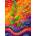 Enjoy - Puzzle Organic Rhythm - 1 000 piese