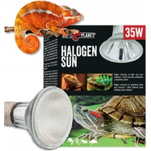 Repti Planet Halogen Sun 35 W