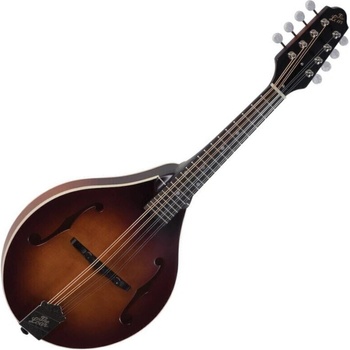 The Loar LM-110