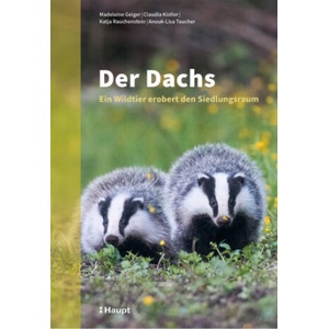 Der Dachs | Claudia Kistler, Katja Rauchenstein, Anouk-Lisa Taucher (ISBN: 9783258084381)