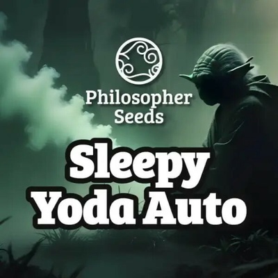 Philosopher Seeds Sleepy Yoda AUTO semena neobsahují THC 5 ks