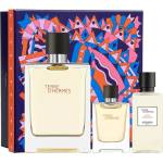 Hermès Terre d'Hermes подаръчен комплект с тоалетна вода 100мл за мъже 1 бр