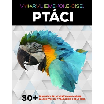 Vybarvujeme podle čísel Ptáci