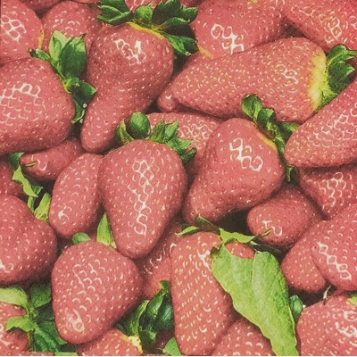 PAW servítky L Raw Strawberries 33x33cm