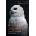 Animal Cognition | Monique A. R. Udell