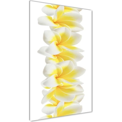 Vertikálny fotoobraz na skle Plumérie 50x100 cm