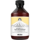 Davines Naturaltech Purifying Shampoo 100 ml