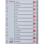 ESSELTE Регистър ESSELTE A/4 plastic Jan-Dec grey 100114 (100114)