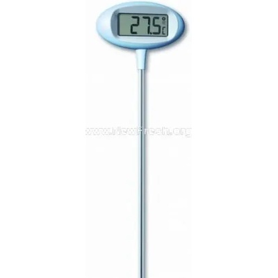 TFA Thermometer (30.2024)
