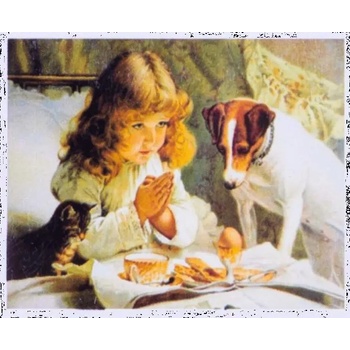 Norimpex - Puzzle Diamond Painting: Expectation 30x40cm - 1 - 39 piese