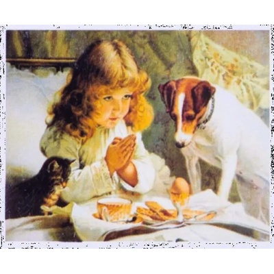 Norimpex - Puzzle Diamond Painting: Expectation 30x40cm - 1 - 39 piese