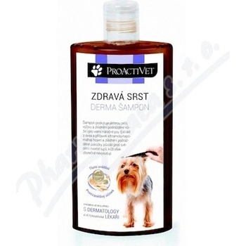 Proactivet Zdravá srst Derma pro výživu, zklidnění podrážděné kůže a jemnou pěči o srst i u nejnáročnějších psů 250 ml