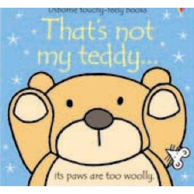 Thats Not My Teddy - Fiona Watt, Rachel Wells ilustrácie