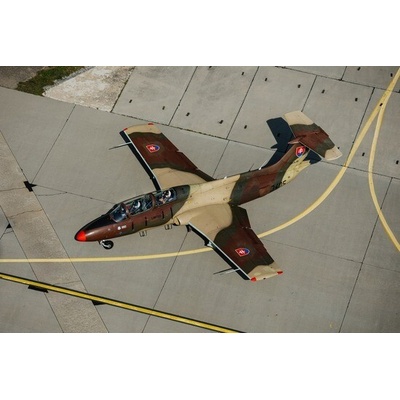 Let stíhačkou L-29 Delfín