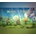 Wind Story