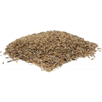 Oseva Uni Osivo směs OKRASNÁ s jílkem vytrvalým 2 kg
