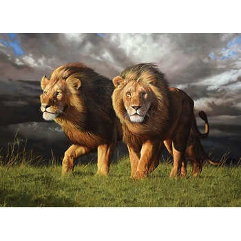 Cobble Hill - Puzzle Approaching Storm - 1 000 piese