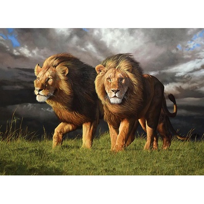 Cobble Hill - Puzzle Approaching Storm - 1 000 piese