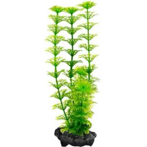 TETRA Limnophila sessiliflora (Ambulia) - растение Тетра 23 см
