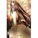 Meč a ptáček - Amy Harmon