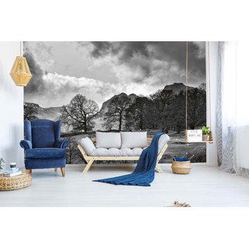 DIMEX ART s. r. o Самозалепваща се флизелинова фототапета монохромна провинция 375 x 250 см