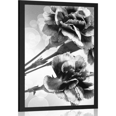 Plakát květ karafiátu v černobílém provedení - 40x60 no frame