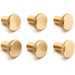 Floyd Rose FROFTSBRASS Brass (FL FRO-FTS BRA)