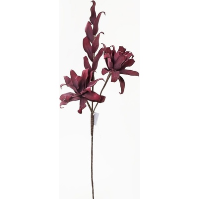 KS KVET PENA - BORDO 80CM