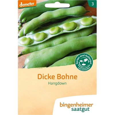Bingenheimer Saatgut Bôb záhradný "Hangdown Grünkernig" 1 bal.
