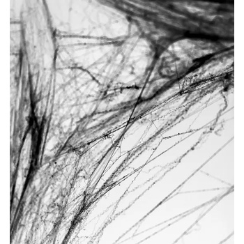 Image 1 of PartyDeco Паяжина - Хелоуин (черна)