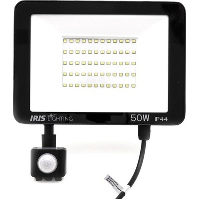 Iris 10824684
