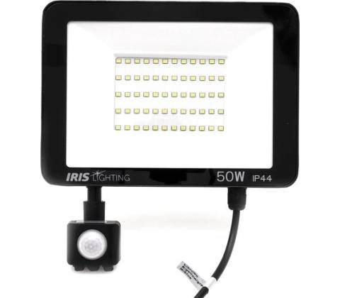 Iris 10824684