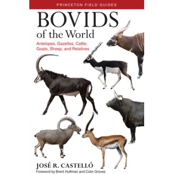 Bovids of the World Castello Jose R.