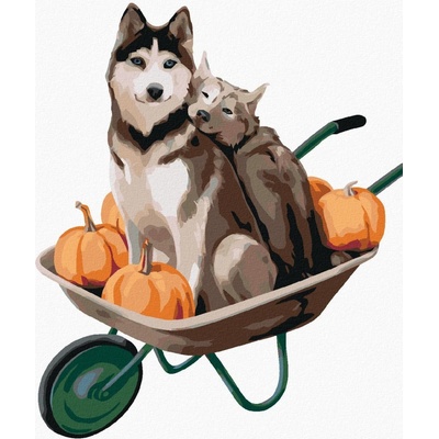 Malování podle čísel Dva husky na kolečkách