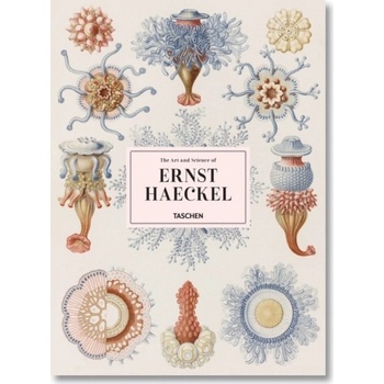 Haeckel