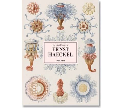 Haeckel
