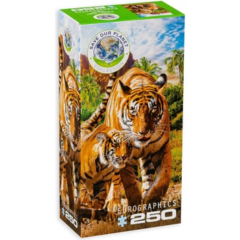 EUROGRAPHICS Пъзел Eurographics от 250 части - Тигри (82515559)