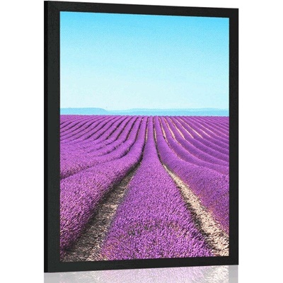 Plakát nekonečné levandulové pole - 60x90 no frame
