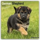 German Shepherd Puppies Square Dog Puppy Breed Wall 16 Month 2024