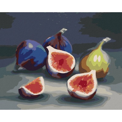 zuty Malování Podle Čísel Fík 1 Myroslava Voloschuk 40 x 50 Cm Plátno Rám
