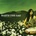Haste The Day - When Everything Falls CD