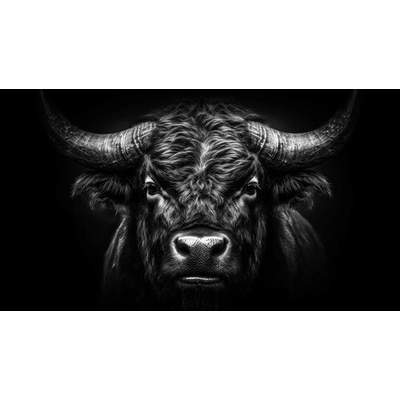 Obraz na plátne Portrait of a Bull 180x100 cm