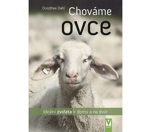 Chováme ovce