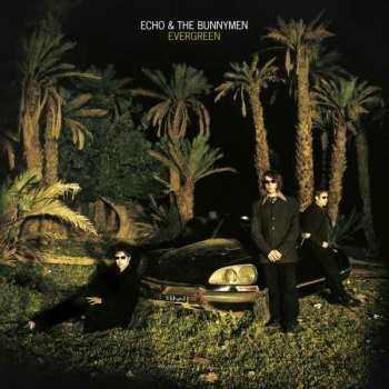 Evergreen - Echo & the Bunnymen LP